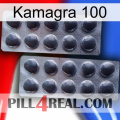 Kamagra 100 31